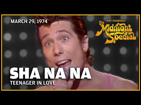 Teenager in Love - Sha Na Na | The Midnight Special
