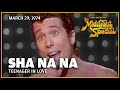 Teenager In Love Sha Na Na The Midnight Special