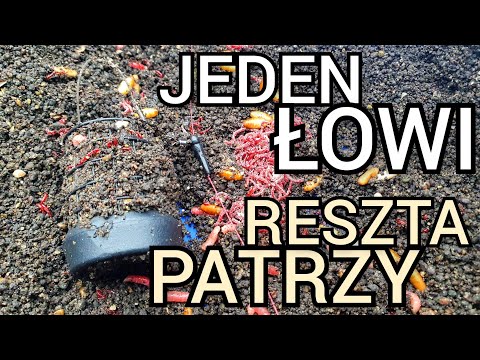 266 JEDEN ŁOWI RESZTA PATRZY 💥