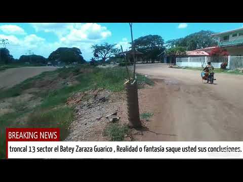 Solamente en Zaraza Guarico surge esto