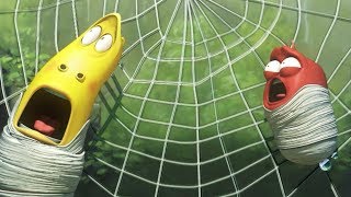 LARVA - SPIDER TRAP | Videos For Kids | Larva Cartoon | Mini cartoon Movie | LARVA Official