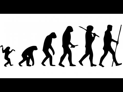 EVOLUÇÃO, ESSA INCOMPREENDIDA: ESQUEÇA A IDEIA DE PROGRESSO!