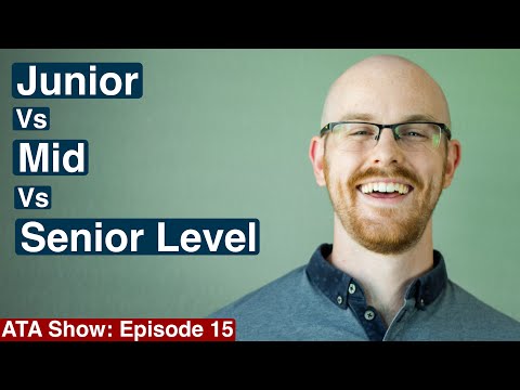 The Hiring Process from an Interviewer s Perspective Alex The Analyst Show Episode 1