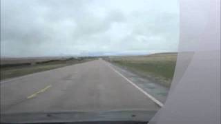 Adelphi - Lion Generation