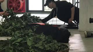 紀錄短片拍攝中
