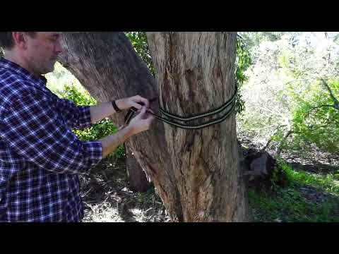 Oak Creek Camping Hammock and Accessories. Complete Package Includes Mosquito Net, Rain Fly, Reviews