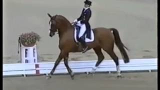 Video von Gracioso