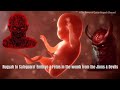 Powerful Ruqyah To Strengthen Safeguard The Embryo Fetus Baby In The Womb From Jinns Shaitans