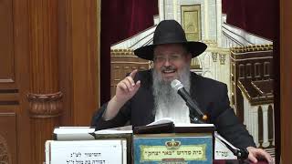 פרשת שבוע | הרב דוד לוי | פרשת תזירע מצורע - ביאור אור החיים הקדוש - ג' אייר - תשפ"ה