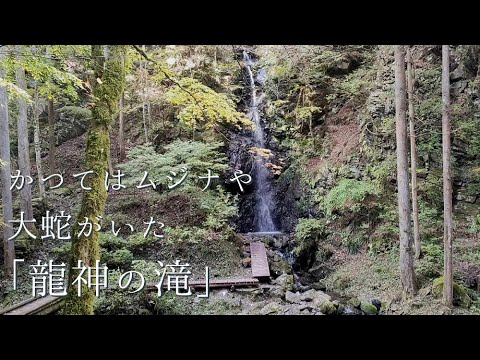 檜原村の見どころ「秋の龍神の滝」【滝】【数馬の湯近く】