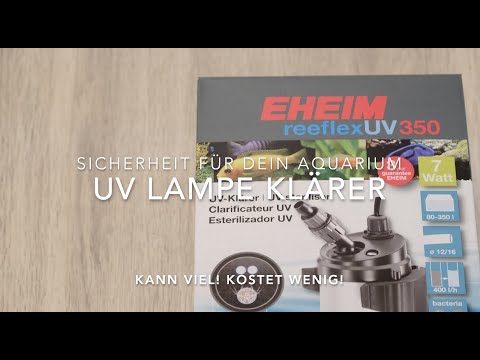 Brauche ich eine UV Lampe? Eheim UV-Klärer reeflex UV Erklärt Gegen Algen und Keime Sauberes Wasser