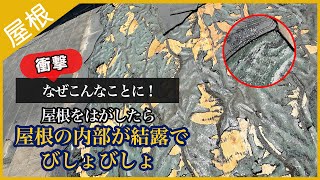 【なぜこんなことに！】換気棟の穴がないと屋根の内部は結露でビショビショに