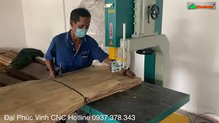 Máy cưa lọng bánh đà WM-226 | khách cắt test máy tại HCM