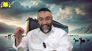 הרב ציון מושייב | פרשת נח | איך קרבן הבא מהבהמה מכפר על חטא האדם, תשפ"ה. (הרב ציון מושייב) - התמונה מוצגת ישירות מתוך אתר האינטרנט יוטיוב. זכויות היוצרים בתמונה שייכות ליוצרה. קישור קרדיט למקור התוכן נמצא בתוך דף הסרטון הרב ציון מושייב | פרשת נח | איך קרבן הבא מהבהמה מכפר על חטא האדם, תשפ"ה. (הרב ציון מושייב) - התמונה מוצגת ישירות מתוך אתר האינטרנט יוטיוב. זכויות היוצרים בתמונה שייכות ליוצרה. קישור קרדיט למקור התוכן נמצא בתוך דף הסרטון