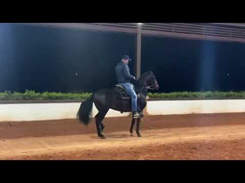 Pretendido De SanIsidro