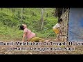 Bumil Melahirkan Di Tengah Hutan Dramamelahirkan