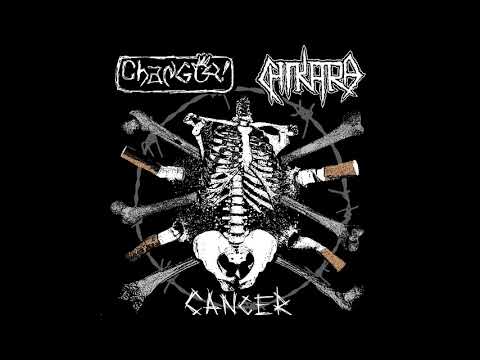 Chikara - Pharmacy Industry