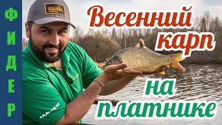 Весенняя прикормка для карпа на фидер