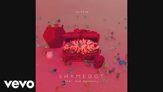 Shameboy - Trippin (Ft Max Marshall) video