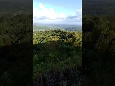 #naturevideo #videography