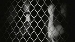 Plastiscines - Bitch