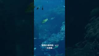 Download lagu 「動物の謝肉祭」より「水族館」 mp3