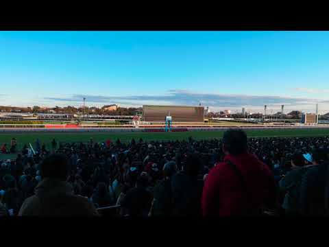 Horse racing in Japan - 中山競馬場でのレースの様子