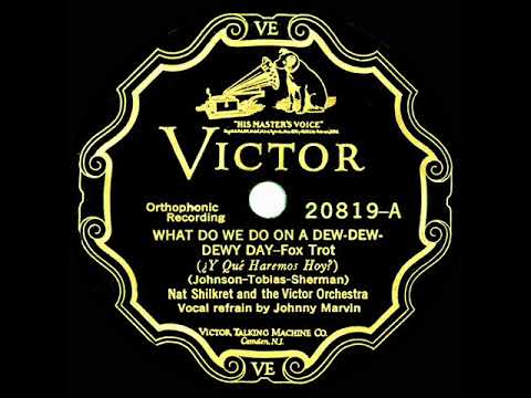 1927 Nat Shilkret - What Do We Do On A Dew-Dew-Dewy Day (Johnny Marvin, vocal)