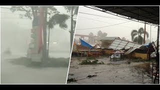 Download lagu Detik-detik Hujan Badai dan Petir Tumbangkan Pohon Besar di Pekanbaru mp3