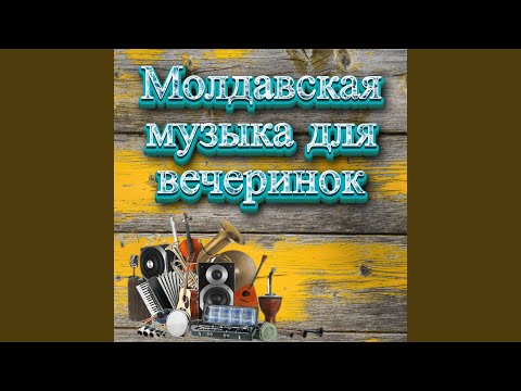 шазам 2023,молдавские песни,танцевальная музыка