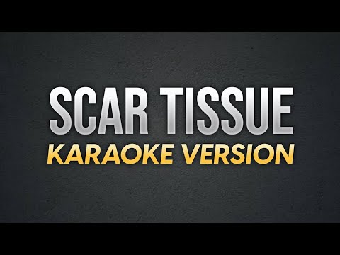 SCAR TISSUE - Red Hot Chili Peppers | Karaoke Version | koolSound
