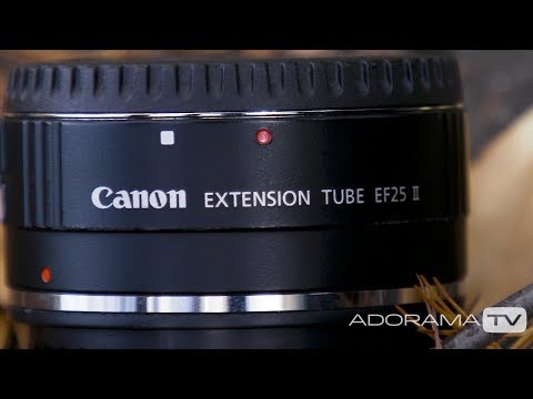 Extension Tubes: Two Minute Tips with David Bergman