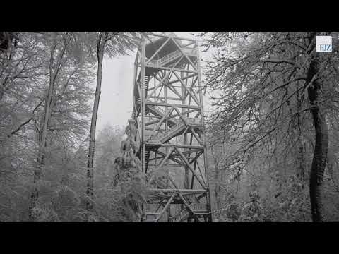 Schnee am Hohen Mechtin