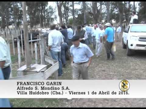 01-04-16 Nota Francisco Garìn - Alfredo S. Mondino - Villa Huidobro.