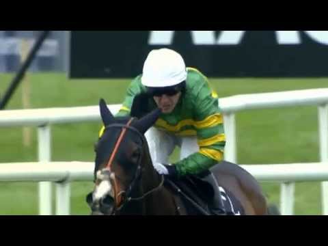 AP McCoy retirement