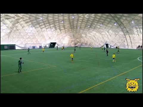 Nuorempia vastaan hallittiin myös ilmatilaa. Ilves P09/1 - Ilves P08/2