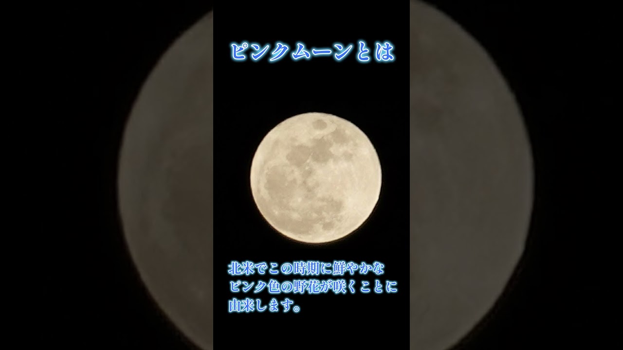 ピンクムーンに心奪われて