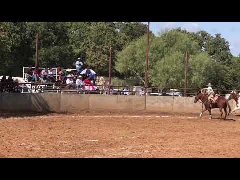 Manganas a caballo del centenario Jorge baeza