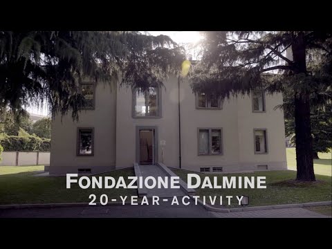 Fondazione Dalmine 20-year-activity