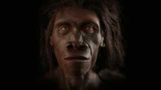 Shaping the Humanity – How Did We Evolve?