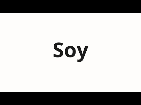 How to pronounce Soy