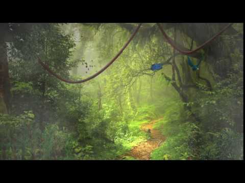 Rainforest Animation