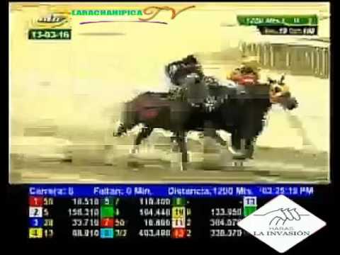 LA RINCONADA 6 CARRERA, DOMINGO 13 DE MARZO DEL 2016