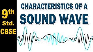 Characteristics of a Sound Wave | 9th Std | Science | CBSE Board | Home Revise