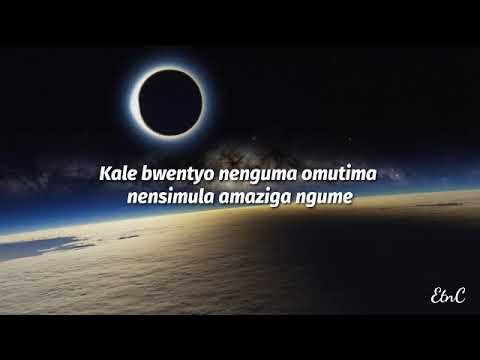 Wankyawa by Dr Jose Chameleon