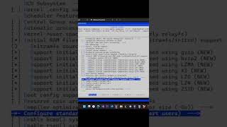 Building a Tiny Linux Kernel #linux #linuxfromscratch #linuxhacking #k