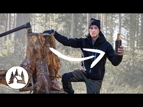 Making tar out of tree stumps
