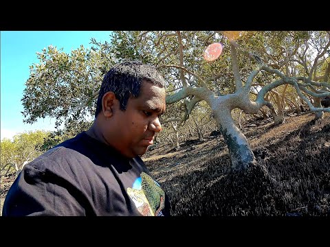 MABU BURU LIFESTYLE Ep 29 - UNPLANNED EXPLORING, finding a DUGUNG TUSK and a TRADITIONAL FISH TRAP?