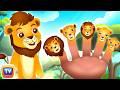 Finger Family Song Lion Kids Songs And Nursery Rhymes ChuChu TV Classics Nurseryrhymes