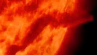 Solar Snake of Fire Rears It's Cobra-like Head While Opposite a Giant Tornado of Fire Dances 2/14/15